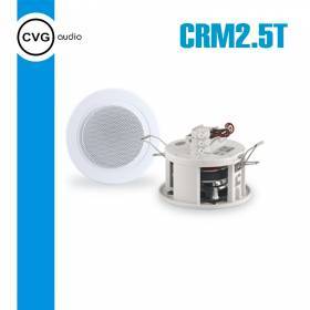Громкоговоритель CVGaudio CRM2.5T